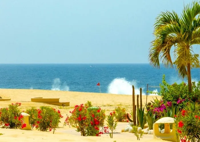 Apartment & Oceanfront Terrasol Condo, 2 Pools & Patio *